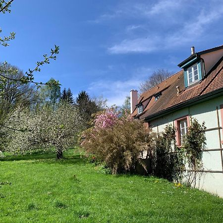 Ferienwohnung In Historischer Muehle Buchen  Buitenkant foto